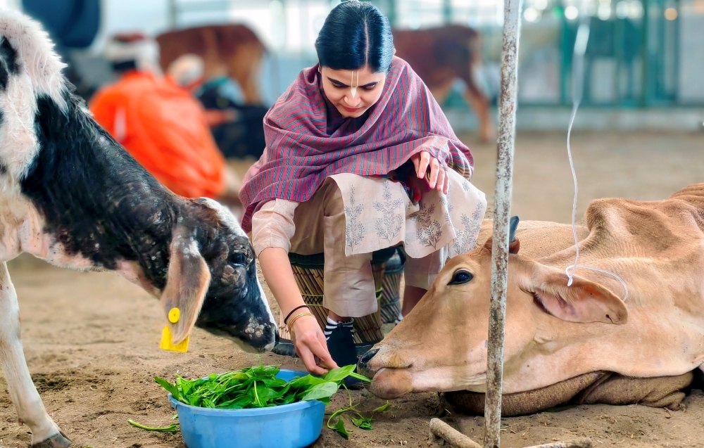 Gau Seva Dham