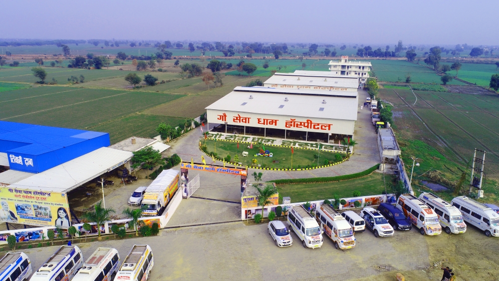 Gau Seva Dham