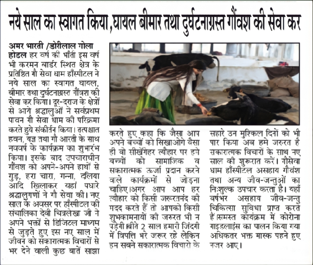 नए साल का स्वागत किया, घायल बीमार तथा दुर्घटनाग्रस्त गौवंश की सेवा कर